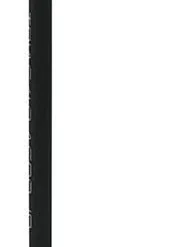 Swix Triac Junior Pole, TBS